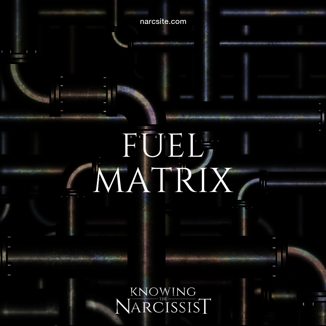 What Am I To The Narcissist? Where Do You Sit In The Narcissist's Fuel ...