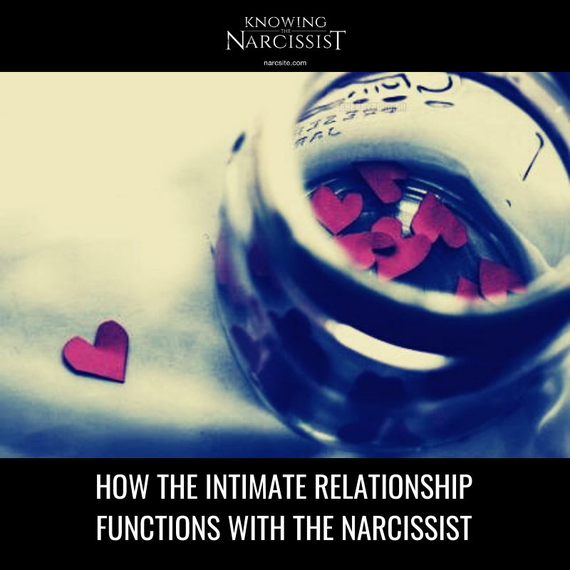 How The Intimate Relationship Functions With the Narcissist - HG Tudor ...