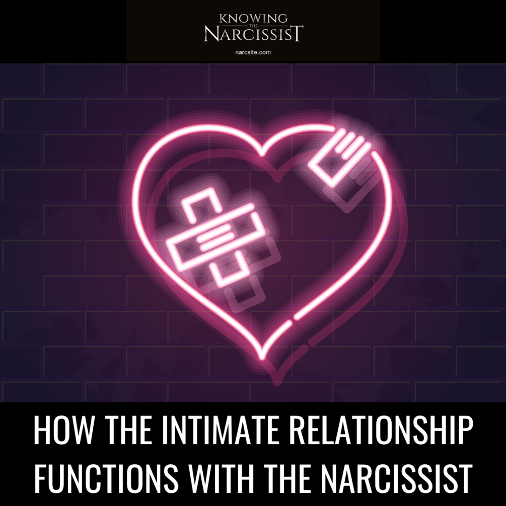 How the Intimate Relationship Functions With the Narcissist - HG Tudor ...