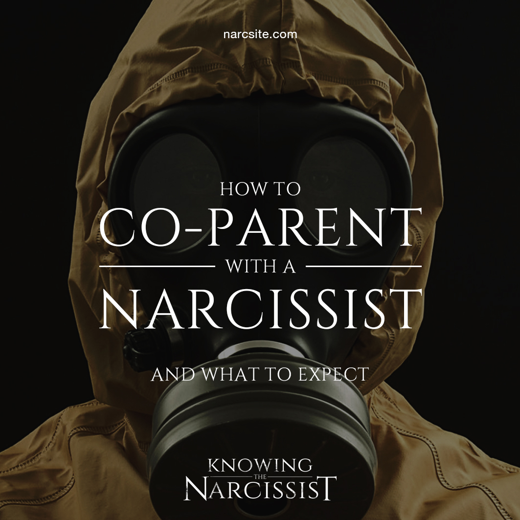 Knowing the Narcissist : How To CoParent With a Narcissist - HG Tudor ...