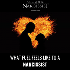 Knowing the Narcissist: What Fuel Feels Like to a Narcissist - HG Tudor ...
